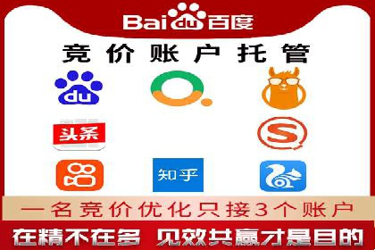 揭秘sem百度竞价背后的成功秘诀与案例